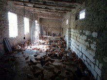 Satılır Həyət evi, Göyçay.ş-10