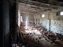 Satılır Həyət evi, Göyçay.ş-11