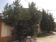 Satılır Həyət evi, Xəzər.r, Mərdəkan-10
