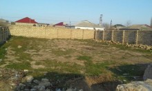 Satılır Torpaq, Abşeron.r, Masazır, Avtovağzal.m-1