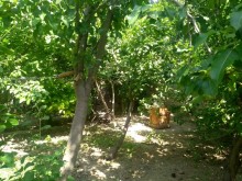 Satılır Həyət evi, Səbail.r, Şıxov-11
