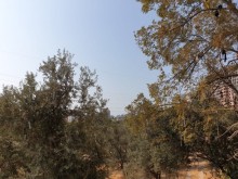 Satılır Köhnə Tikili, Binəqədi.r, 9-cu mikrorayon, Memar Əcəmi.m-8
