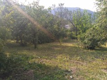Satılır Həyət evi, Oğuz.ş-6