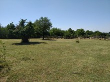 Satılır Torpaq, Qəbələ.ş-2