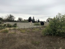 Satılır Torpaq, Xəzər.r, Mərdəkan, Koroğlu.m-3