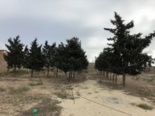 Satılır Torpaq, Xəzər.r, Şüvəlan, Koroğlu.m-3