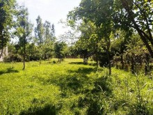 Satılır Torpaq, Qəbələ.ş-2