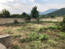 Satılır Torpaq, Qəbələ.ş-2