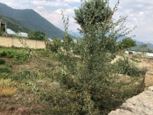 Satılır Torpaq, Qəbələ.ş-4