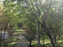 Satılır Həyət evi, Xətai.r, Əhmədli, Əhmədli.m-5