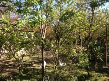 Satılır Həyət evi, Xətai.r, Əhmədli, Əhmədli.m-9