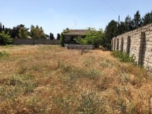 Satılır Torpaq, Xəzər.r, Mərdəkan, Koroğlu.m-3