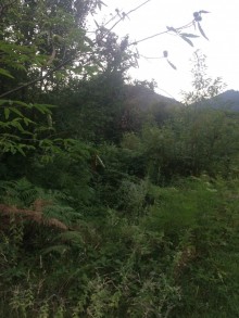 Satılır Torpaq, Qəbələ.ş-3