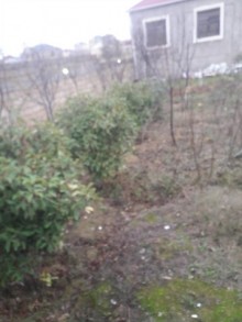 faatmai villa qiymetleri, -10