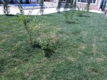 Satılır Villa, Xəzər.r, Mərdəkan-6