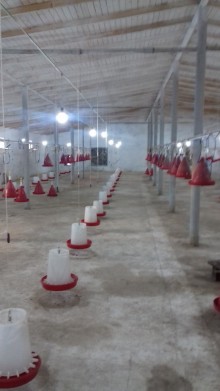 Kirayə (Aylıq) Obyekt, Abşeron.r, Aşağı Güzdək-2
