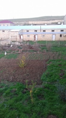 Kirayə (Aylıq) Obyekt, Abşeron.r, Aşağı Güzdək-3