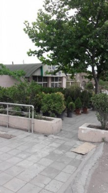 Satılır Obyekt, Xırdalan.ş-1