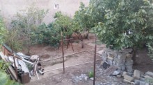 Satılır Torpaq, Abşeron.r, Mehdiabad, Azadlıq.m-10