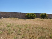 Satılır Torpaq, Xəzər.r, Mərdəkan, Koroğlu.m-3