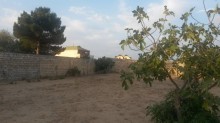 Satılır Torpaq, Xəzər.r, Mərdəkan, Koroğlu.m-1