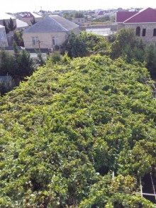 Satılır Həyət evi, Xəzər.r, Mərdəkan, Koroğlu.m-5
