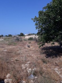 Satılır Torpaq, Abşeron.r, Goradil-2
