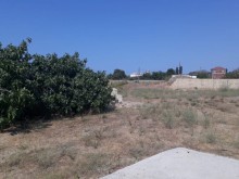 Satılır Torpaq, Abşeron.r, Goradil-7
