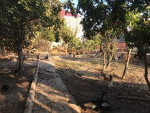 Satılır Həyət evi, Sumqayıt.ş-14