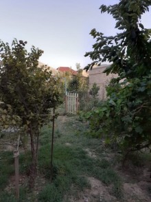 Satılır Həyət evi, Abşeron.r, Saray-5