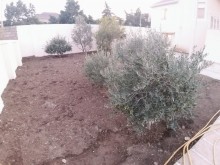 Satılır Həyət evi, Xəzər.r, Mərdəkan, Koroğlu.m-15