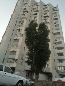 Satılır Köhnə Tikili, Nəsimi.r, 20 Yanvar.m-1