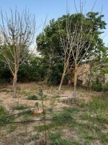 Satılır Həyət evi, Abşeron.r, Novxanı-9