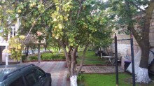 Satılır Həyət evi, Abşeron.r, Novxanı-15