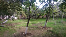 Satılır Həyət evi, Abşeron.r, Novxanı-18