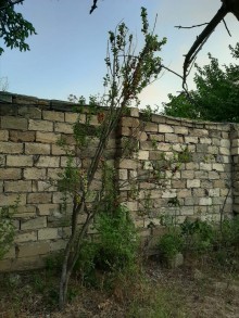 Satılır Həyət evi, Abşeron.r, Novxanı-20
