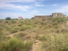 Satılır Torpaq, Sabunçu.r, Nardaran, Koroğlu.m-3