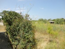 Satılır Həyət evi, Sabunçu.r, Nardaran-3
