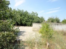 Satılır Həyət evi, Sabunçu.r, Nardaran-10