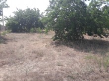 Satılır Torpaq, Xəzər.r, Şüvəlan, Koroğlu.m-1