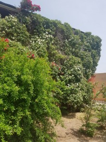 Satılır Həyət evi, Sabunçu.r, Maştağa-11
