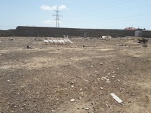 Satılır Torpaq, Xəzər.r, Mərdəkan, Koroğlu.m-1