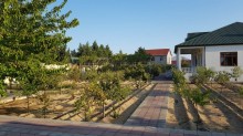 Satılır Həyət evi, Xəzər.r, Buzovna-2