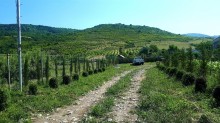 Satılır Torpaq, İsmayıllı.ş-8