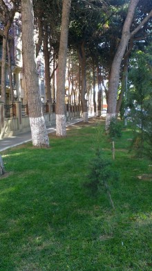 Satılır Yeni Tikili, Nərimanov.r, Gənclik.m-2