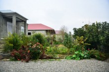 Satılır Həyət evi, Naxçıvan.ş-8