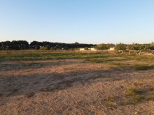 Satılır Torpaq, Xəzər.r, Buzovna-2