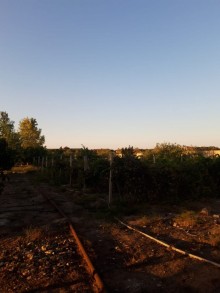 Satılır Torpaq, Xəzər.r, Buzovna-5