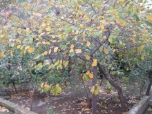 Satılır Həyət evi, Yasamal.r, Yasamal, Elmlər Akademiyası.m-2