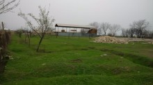 Satılır Torpaq, Tovuz.ş-4